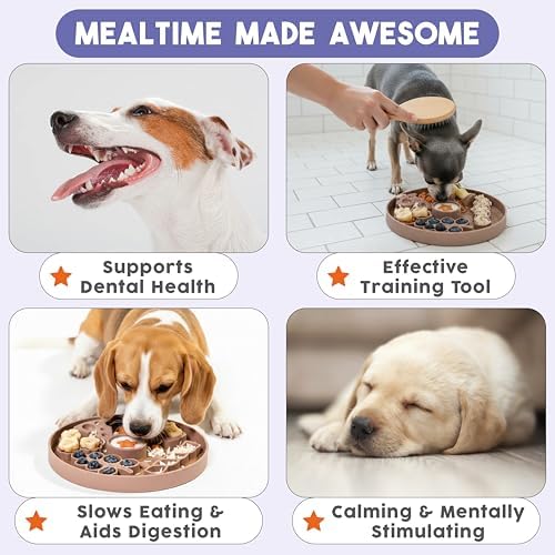 Smorgasboard 3-Pack Bundle – Silicone Dog and Puppy Lick Mat and Slow Feeder with Suction Cups - Non-Slip, Dishwasher Safe Pet Dishes - Extend Mealtimes for Fast Eaters - for Wet & Dry Food
