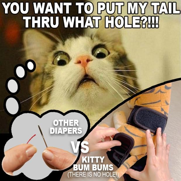 Kitty Bum Bums Reusable Cat Diapers and Stud Pants to Prevent Pee Marking - with Adjustable Tabs to Fit (Pack of 3) (Medium)