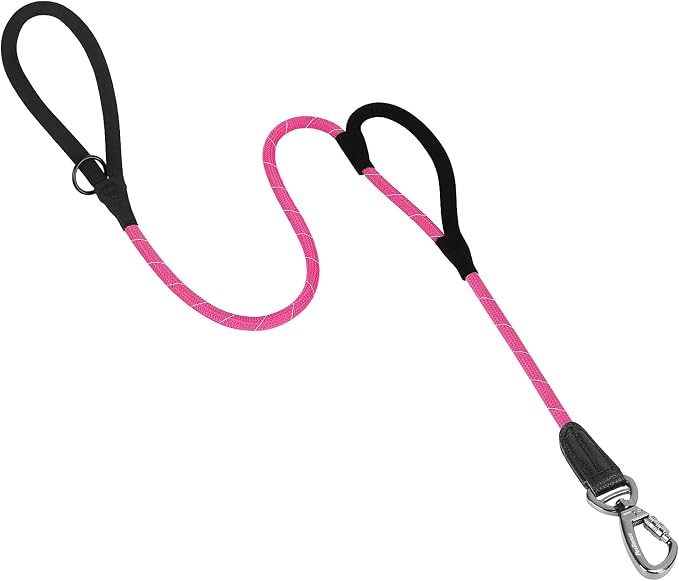 PetBonus Double Handle Rope Dog Leash and 2-Pack Large Silicone Collapsible Dog Bowls