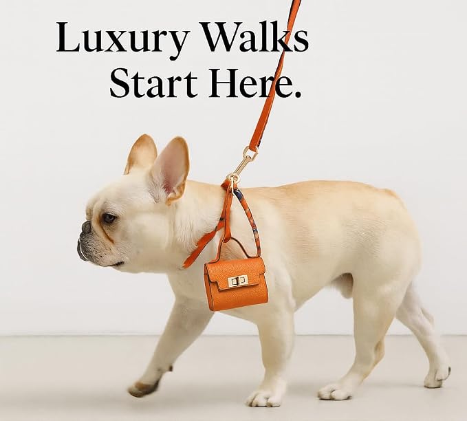 Barkin Dog Poop Bag Holder for Leash, Designer Waste Bag Dispenser Case | Gold Hardware, Portable, Keychain Clip, For Doggie Leash & Travel