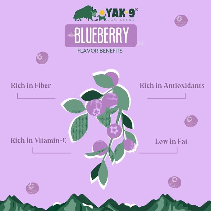 Yak9 Himalayan Yak Cheese Dog Chews, Blueberry | High Protein, Non Rawhide Dog Chews Long Lasting | Non GMO, Gluten Free, Grain Free Yak Milk Dog Chew | Medium Size (Breeds 15-30 Lbs), 2 PC