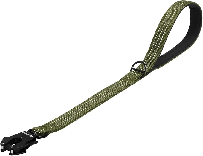 PetBonus Heavy Duty 24 Inch Short Dog Leash and 2-Pack Large Silicone Collapsible Dog Bowls
