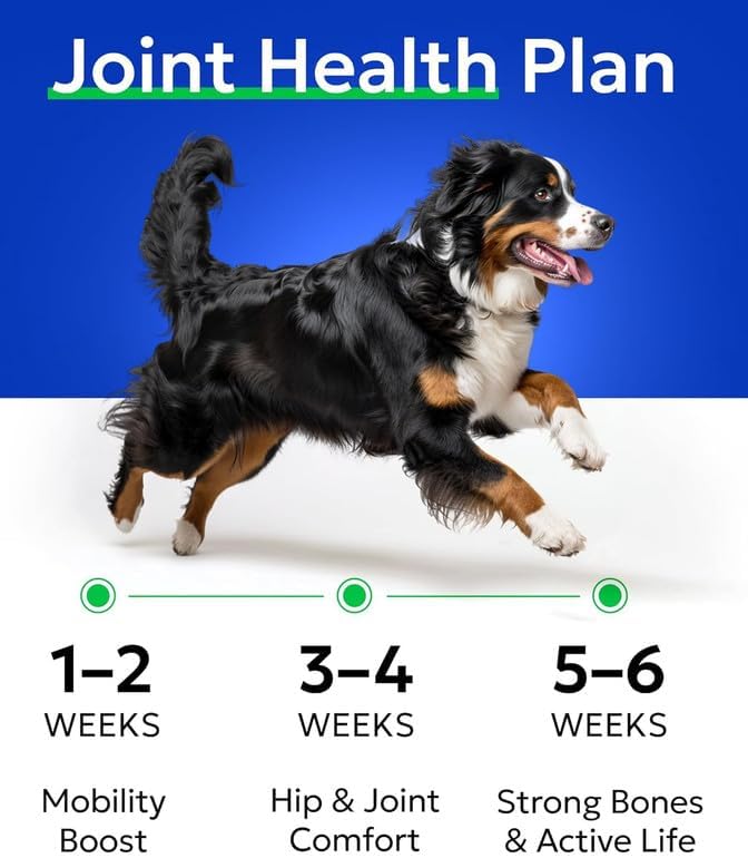 Glucosamine Chondroitin Dog Hip & Joint Supplement - Joint Pain Relief - Hip & Joint Chews for Dogs - Joint Support Large Breed - Senior Doggie Vitamin Pills Joint Health - (240 Treats - Bacon)