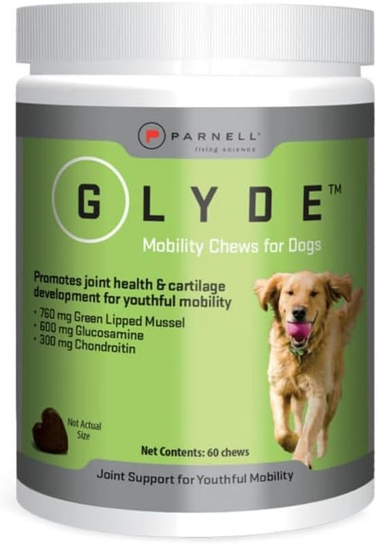 Glyde Hip & Joint Supplement for Senior Dogs, Mobility Support, 60 Chews | Green Lipped Mussel, Glucosamine and Chondroitin help support healthy cartilage, joints and mobility in senior dogs