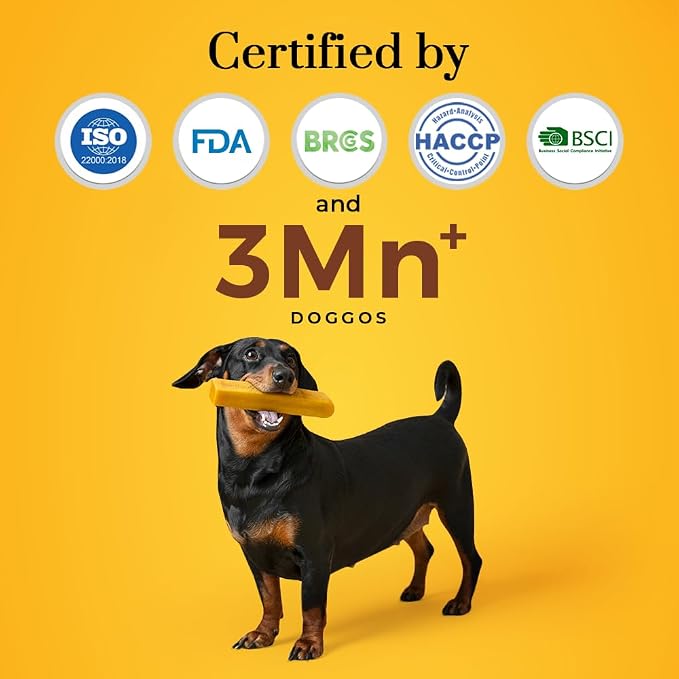 Dogsee Himalayan Yak Cheese Dog Chews with Turmeric/Curcumin (Medium - 2 Chews), All Natural Long Lasting, Anti-inflammatory, Odorless High Protein Chew,60% Protein Dog Treats for Active Chewers