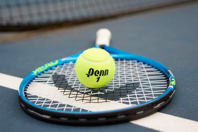 Penn Championship Tennis Balls - Extra Duty