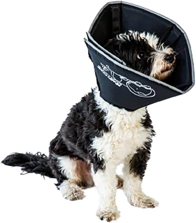 All Four Paws Comfy Cone Pet Cone for Dogs, Cats, Small, Black - Comfortable Soft Dog Cone Collar Alternative for After Surgery, Wound Care, Spay, Neuter - Dog and Cat Recovery Elizabethan-Collar