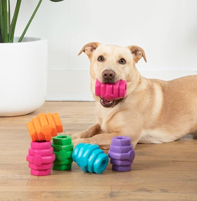 HIVE Parent (Wild Berry, Hive Chew Toy for Large Dogs)