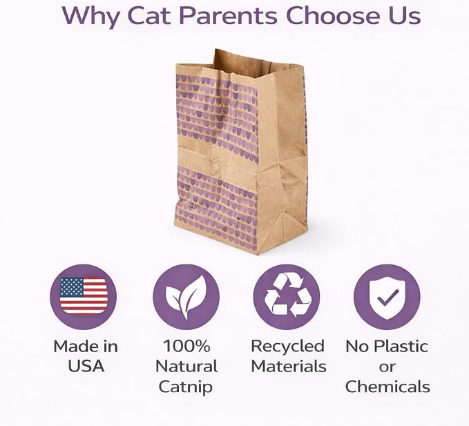 Catnip Infused Crinkly Paper Bag Cat Toys - All Natural & Recycled Materials - Made in USA - Interactive Hide and Seek for Indoor Cats and Kittens - (2-Pack, Catnip)