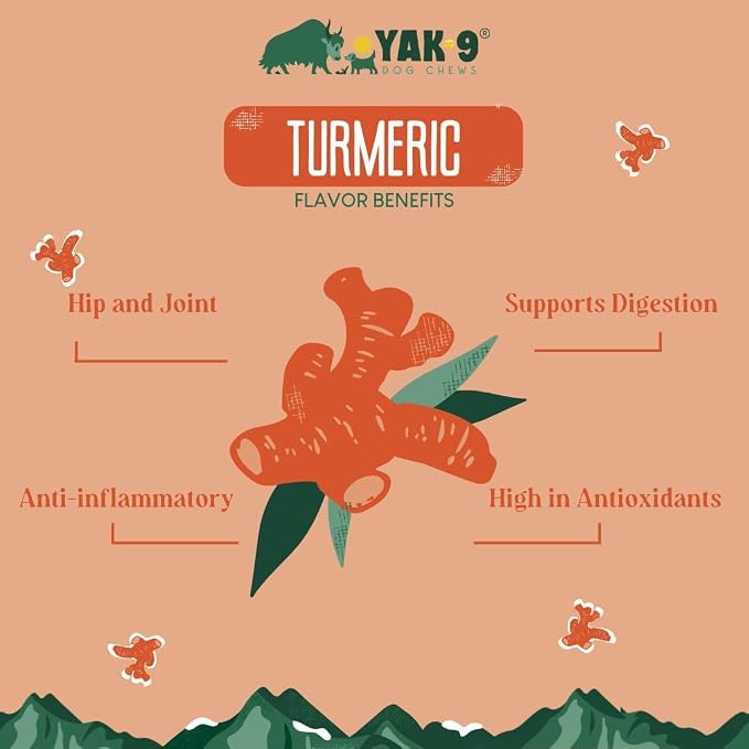 Yak Cheese Dog Chews with Turmeric for Hip & Joint Support | High Protein, Non Rawhide Dog Chews Long Lasting | Non GMO, Gluten Free, Grain Free | Small Size, Bulk 14 PC Bag