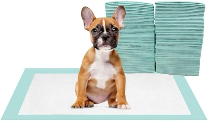 Member Mark Multipurpose Dog Absorbent Pads, 120 Count – 23" x 24", Quick-Dry, Odor Control, Leak-Proof Liner, Built-in Attractant
