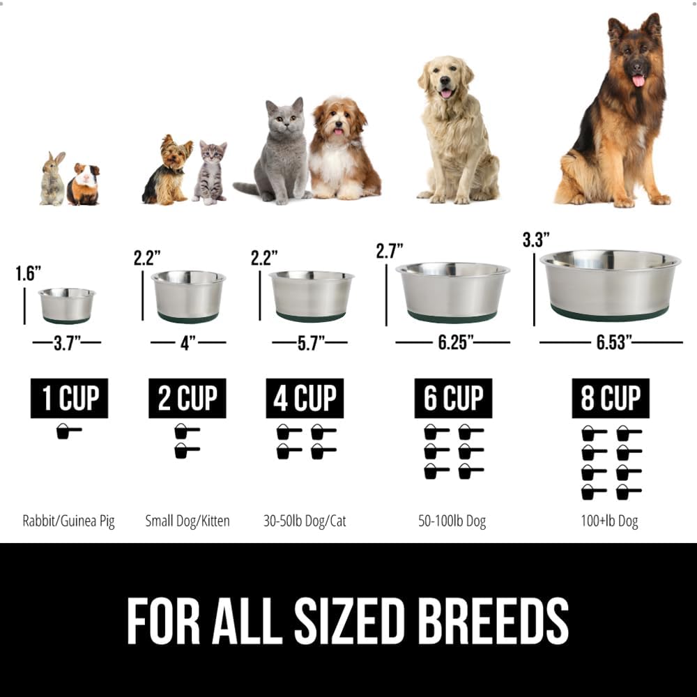 GORILLA GRIP Set of 2 Dog Bowls, Heavy Duty Metal Food and Water Bowl for Feeding Dogs and Cats, Dishwasher Safe, Rust Resistant Stainless Steel, BPA Free Rubber Base, Holds 1 Cup (8 fl oz), Green