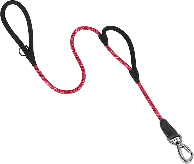 PetBonus Double Handle Rope Dog Leash and 2-Pack Large Silicone Collapsible Dog Bowls