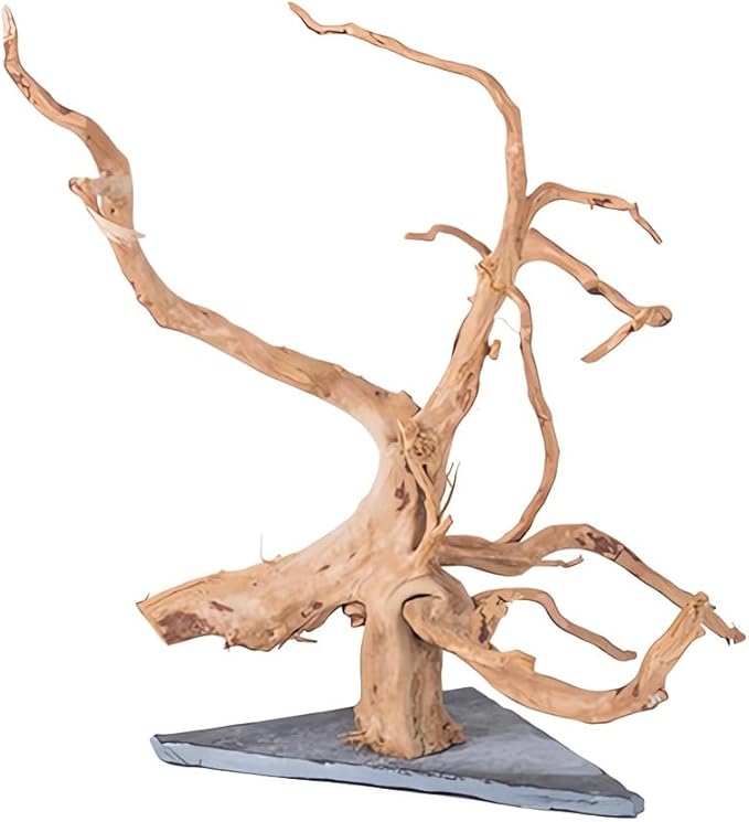 AWXZOM Natural Large Spider Wood Driftwood for Aquarium, Terrarium, Vivarium, and Reptile, Aquarium Décor, Reptile Tank, Aquarium décor Wood Aquascaping Wood for Reptile Enclosure (9-14inch)