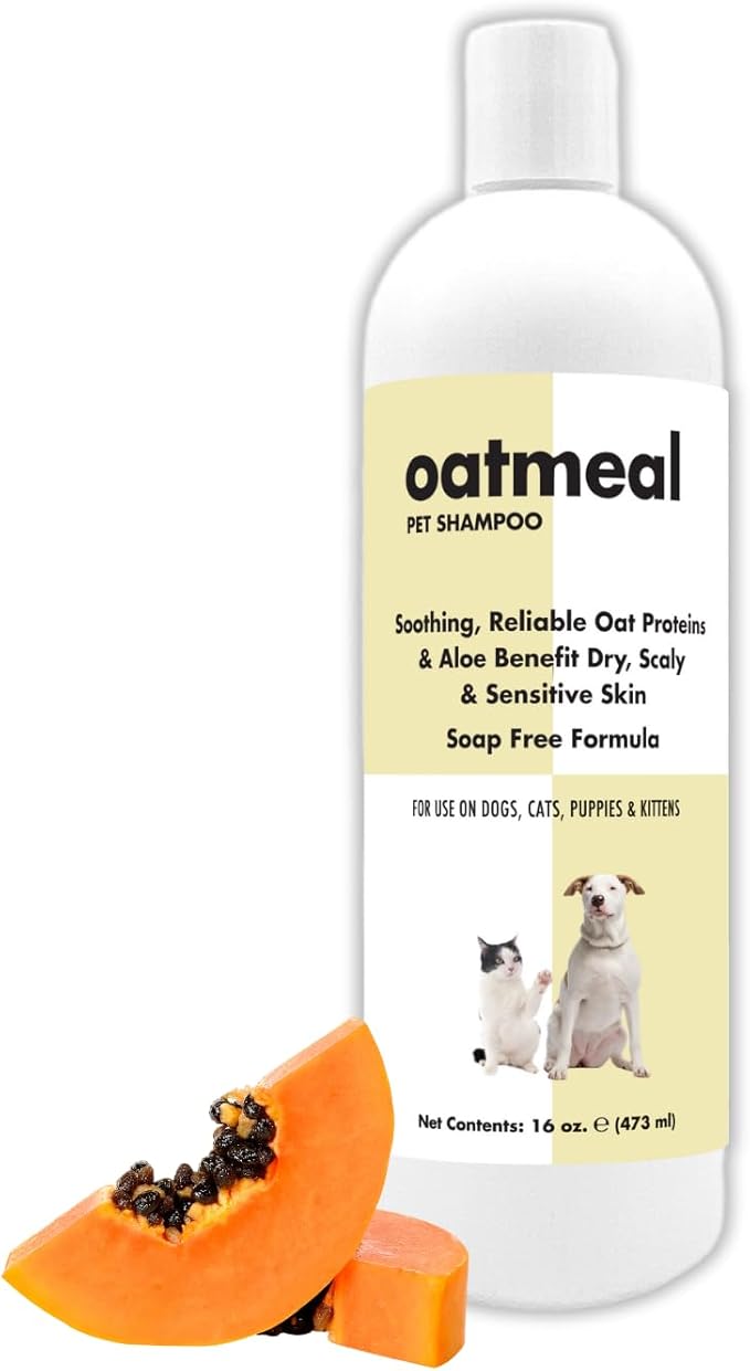 ShowSeason Itch Relief Oatmeal and Aloe Pet Shampoo 16 oz. for Dogs & Cats | Anti-Itch & Deodorizing Formula, Soothes and Moisturizes Dry Itchy Sensitive Skin
