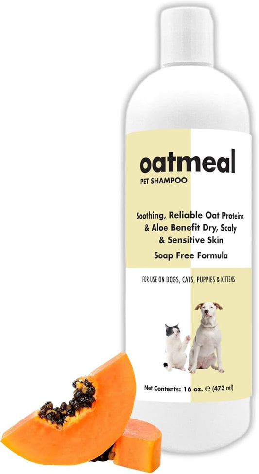 ShowSeason Itch Relief Oatmeal and Aloe Pet Shampoo 16 oz. for Dogs & Cats | Anti-Itch & Deodorizing Formula, Soothes and Moisturizes Dry Itchy Sensitive Skin