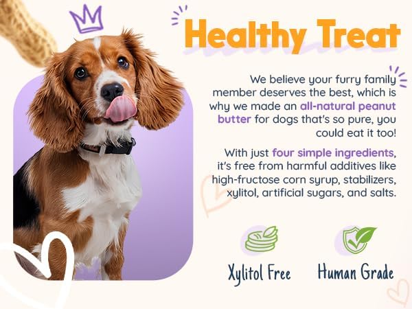 BUDDY BUDDER Pumpkin Pup + Ruff Ruff Raw Red Dog Enrichment Mat Combo, 100% All Natural Peanut Butter, Healthy Dog Treats, Made in USA (Set of 2 / 17oz Jars + Lickmat)