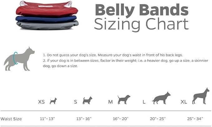 Pet Parents® Washable Belly Bands for Male Dogs (3pack) + Extendrs® of Durable Dog Diapers Male, Premium Male Dog Diapers & Dog Wraps (X-Small, Kingsmen)