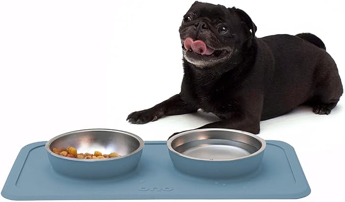Ono Good Bowl Food & Water Double Feeder - Small to Medium Pets No Spill Non Skid Silicone Mat & Stainless Steel Bowls for Dogs or Cats (Azul)