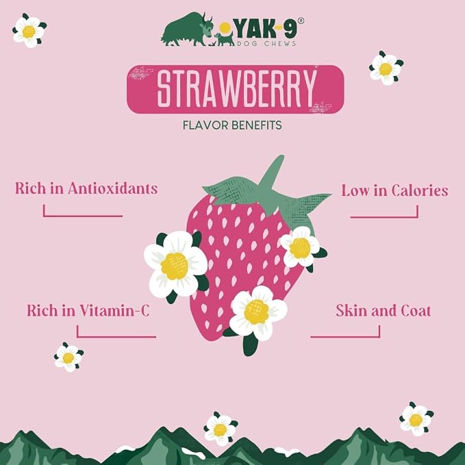 Yak9 Himalayan Yak Cheese Dog Chews, Strawberry | High Protein, Non Rawhide Dog Chews Long Lasting | Non GMO, Gluten Free, Grain Free Yak Milk Dog Chew | Medium Size (Breeds 15-30 Lbs), 2 PC