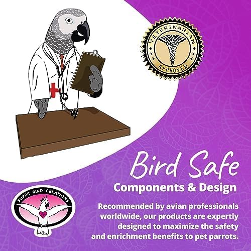 Super Bird Creations - Rainbow Bridge Bird Toy - Durable & Entertaining Bird Playground for Amazons African Greys Eclectus Cockatoos Macaws - Colorful Bird Toy for Large & Extra-Large Birds 29" x 13"