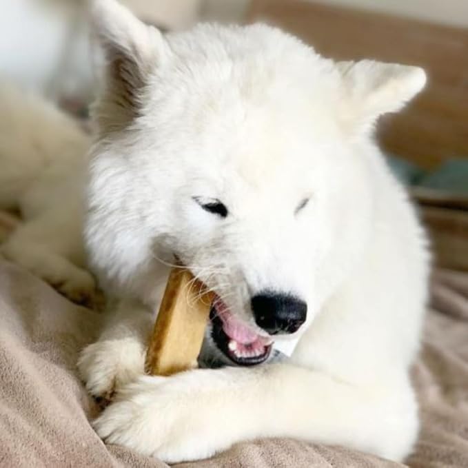 Yeti Dog Chew - Yak Cheese Himalayan - Healthy Long Lasting - Yak Chews for Large, Medium and Small Dogs - Yak Bones for Dogs - Natural Yak Cheese - Large 1lb (5 Pieces)