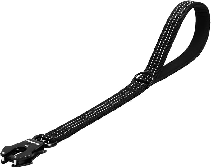 PetBonus Heavy Duty 24 Inch Short Dog Leash and 2-Pack Silicone Collapsible Dog Bowls