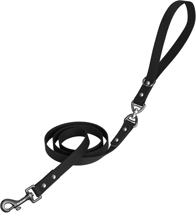 PetBonus 5 FT Waterproof Dog Leash and 2-Pack Silicone Collapsible Dog Bowls