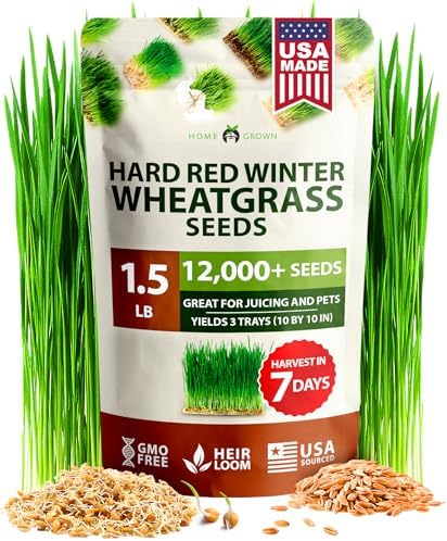 HOME GROWN 12,000+ Wheatgrass Seeds & HOME GROWN Indoor Organic Herb Garden Kit – Unique Christmas Gift for Adults, Men, & Women - Grow 4 Herb Seeds