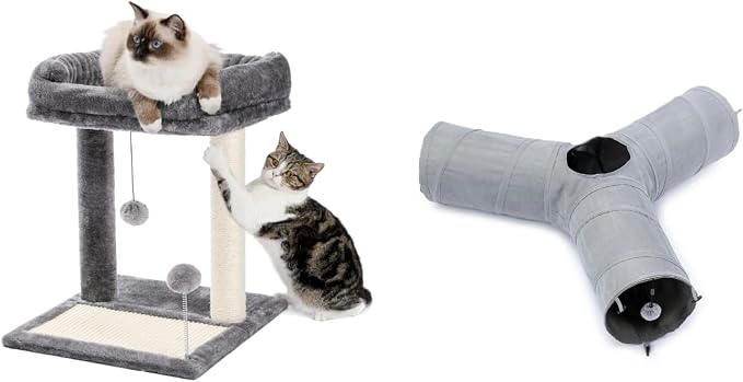 PAWZ Road 3 Way Cat Tunnel Bundle with Cat Scratching Post Bed
