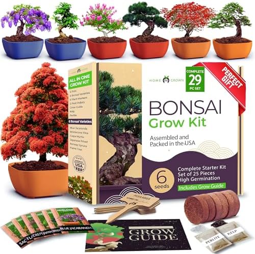 HOME GROWN 𝗨𝗦𝗔 𝗣𝗥𝗘𝗠𝗜𝗨𝗠 1 Pound Cat Grass Seeds for Cat & Kittens Oat & Barley Mix &HOME GROWN 𝗨𝗦𝗔 Bonsai Tree Kit – 6 Heirloom Varieties with Unique Pots