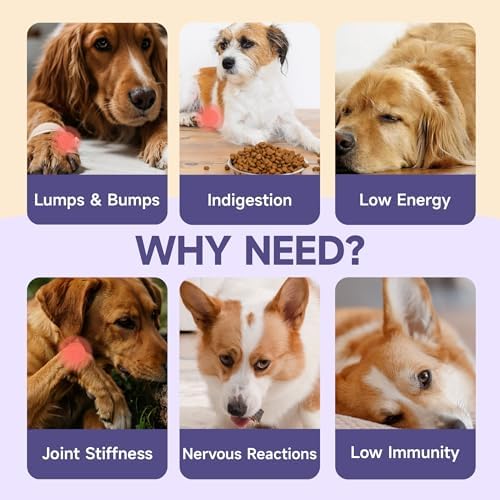 Dog Ear Cleaner Solution - Turkey Tail Mushroom for Dogs