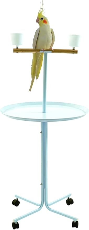 Large 23" Play T-Stand Perch Metal Base Parrot Bird Cage Amazon African Grey Macaw Cockatoo with Lockable Rolling Castors