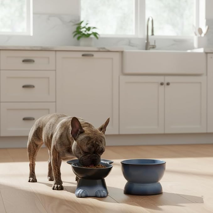 Nihow Dog Food & Water Bowl Set: Elevated Ceramic Bowls for Medium/Small Size Dogs - Food Safe Raised Puppy Bowls - Gray Pet Bowl for Protecting Pet's Spine (Set of 2)
