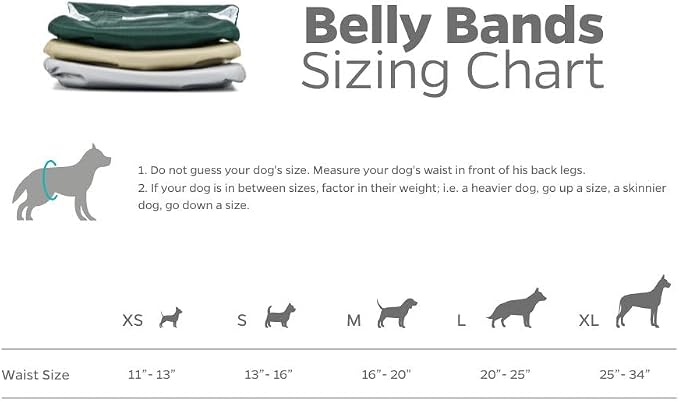 Pet Parents® Washable Belly Bands for Male Dogs (3pack) + Extendrs® of Durable Dog Diapers Male, Premium Male Dog Diapers & Dog Wraps (X-Large, Spruce)