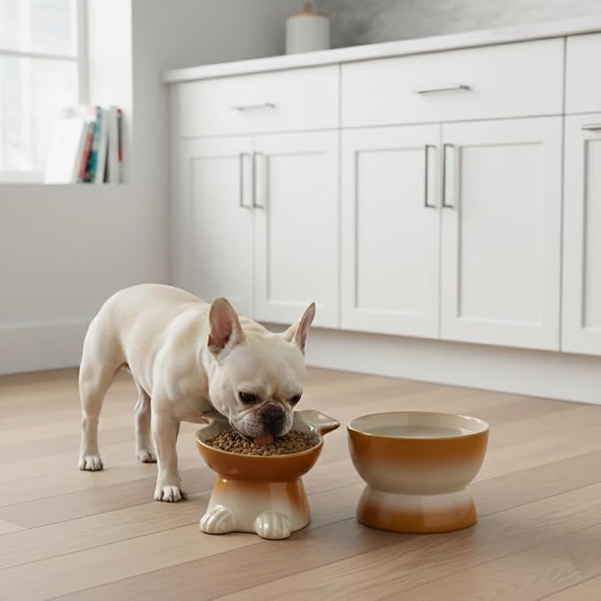 Nihow Dog Food & Water Bowl Set: Elevated Ceramic Dog Bowls for Medium/Small Size Dog - Food Safe Raised Puppy Bowls - Brown Pet Bowl for Protecting Pet's Spine (Set of 2)