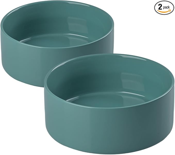SPUNKYJUNKY 42OZ Ceramic Dog and Cat Bowl, Modern Cute Weighted Food Water Bowl for Replacement Light Green (2 Pack)