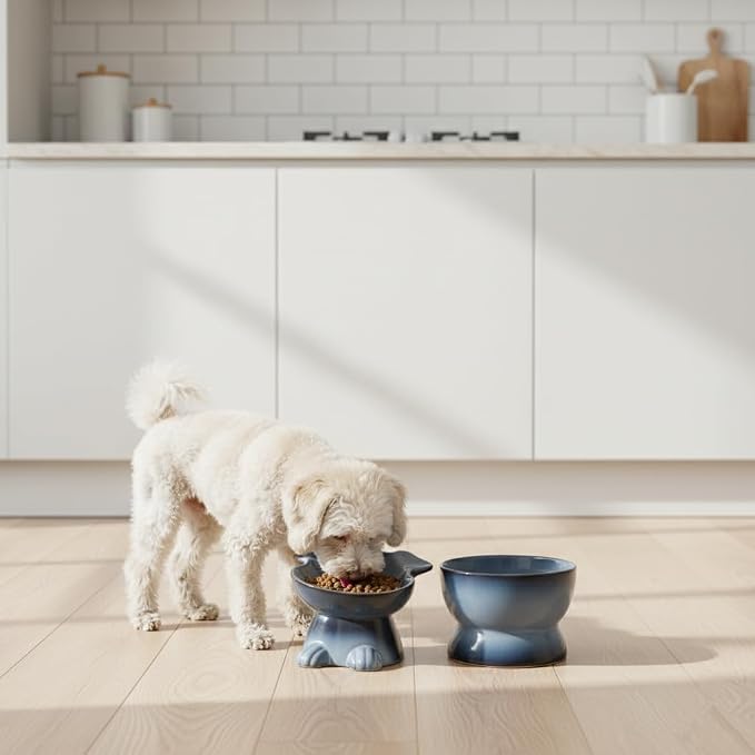Nihow Dog Food & Water Bowl Set: Elevated Ceramic Bowls for Medium/Small Size Dogs - Food Safe Raised Puppy Bowls - Gray Pet Bowl for Protecting Pet's Spine (Set of 2)