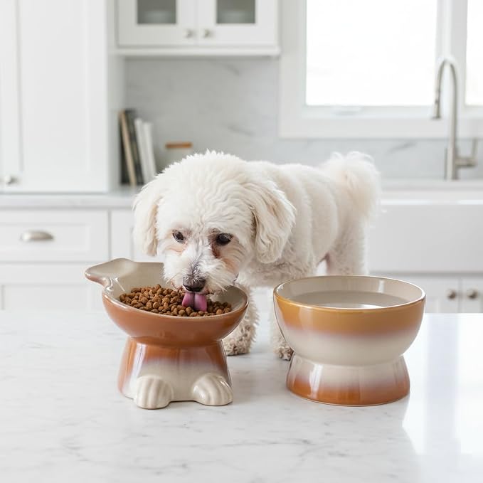 Nihow Dog Food & Water Bowl Set: Elevated Ceramic Dog Bowls for Medium/Small Size Dog - Food Safe Raised Puppy Bowls - Brown Pet Bowl for Protecting Pet's Spine (Set of 2)