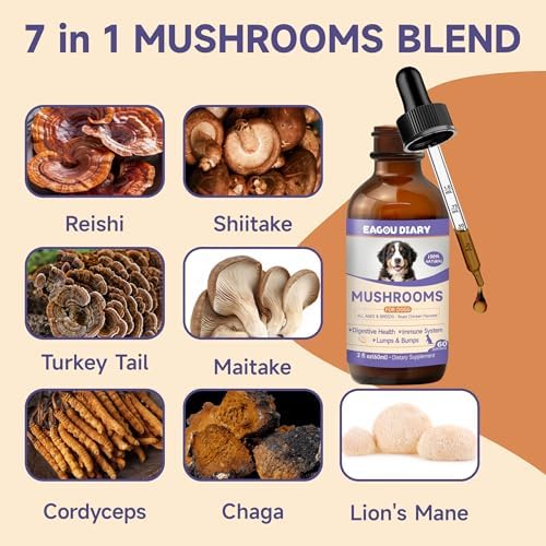 Dog Ear Cleaner Solution - Turkey Tail Mushroom for Dogs