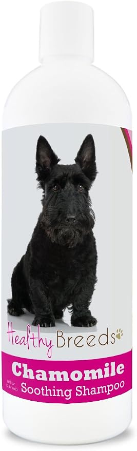 Healthy Breeds Chamomile Dog Shampoo & Conditioner with Oatmeal & Aloe for Scottish Terrier - OVER 200 BREEDS - 8 oz - Gentle for Dry Itchy Skin - Safe with Flea and Tick Topicals