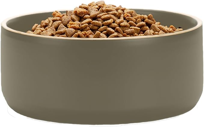 Waggo Edge Dog Bowl for Small Medium and Large Breeds - Clean Modern Matte Finish, Heavyweight and Durable Pet Food and Water Dish Crock, Dishwasher Safe (Black, 9 Cups)