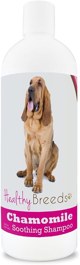 Healthy Breeds Bloodhound Chamomile Soothing Dog Shampoo 8 oz