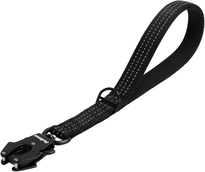 PetBonus Heavy Duty 12 Inch Short Dog Leash and 2-Pack Large Silicone Collapsible Dog Bowls