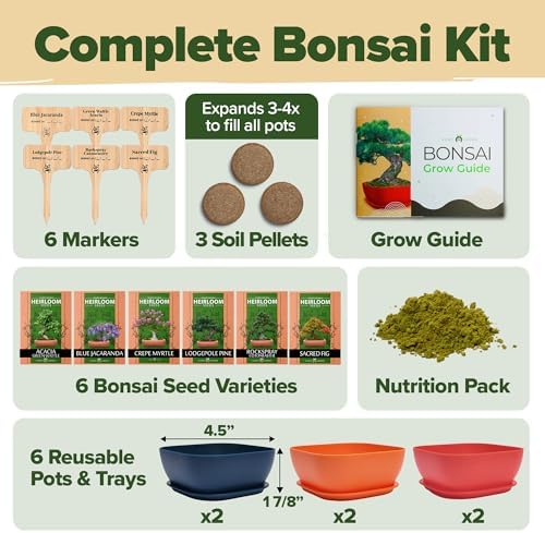 HOME GROWN 𝗨𝗦𝗔 𝗣𝗥𝗘𝗠𝗜𝗨𝗠 1 Pound Cat Grass Seeds for Cat & Kittens Oat & Barley Mix &HOME GROWN 𝗨𝗦𝗔 Bonsai Tree Kit – 6 Heirloom Varieties with Unique Pots