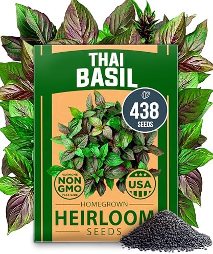 HOME GROWN 12,000+ Wheatgrass Seeds Bulk Pack & 𝗨𝗦𝗔 𝗣𝗥𝗘𝗠𝗜𝗨𝗠 Rosemary Seeds Pack - 150 & Thai Basil Seeds Pack - 438