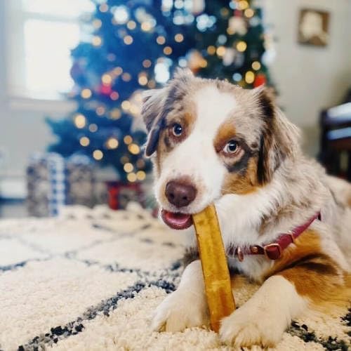 Yeti Dog Chew - Yak Cheese Himalayan - Healthy Long Lasting - Yak Chews for Large, Medium and Small Dogs - Yak Bones for Dogs - Natural Yak Cheese - X-Large, 3 Pieces, 1 LB