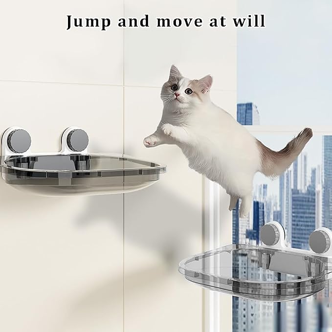 La La Pet Suction Cup Cat Bed with Mat Transparent All Season Window Perch for Indoor Pets Sunbathing Hammock Nest