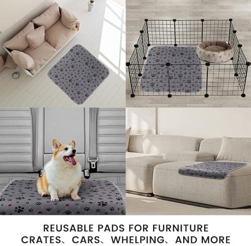 Washable Pee Pads for Dogs,2 Pack Extra Large 42"x42" Super Absorbent Reusable Puppy Pads,Non-Slip 100% Waterproof Dog Pee Pads,Pet Training Pads for Couch, Crate,Potty Training,Floor