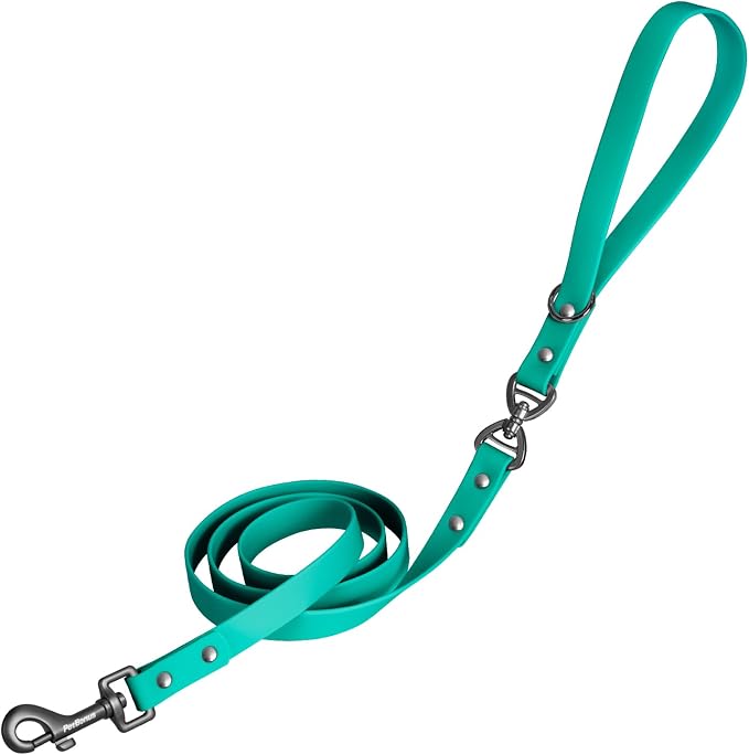 PetBonus 5 FT Waterproof Dog Leash and 2-Pack Silicone Collapsible Dog Bowls